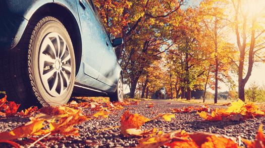 6 ways to prepare your car for Autumn