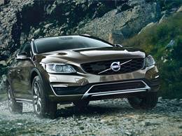 brown volvo
