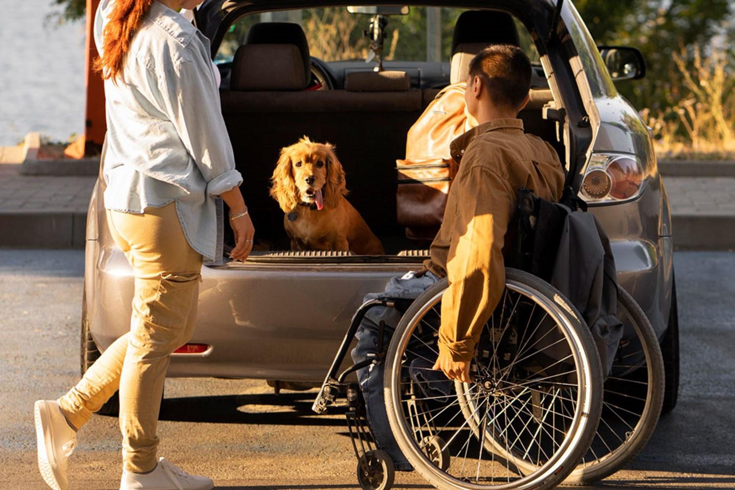 Brown dog in boot of Motability car with Motability customers.