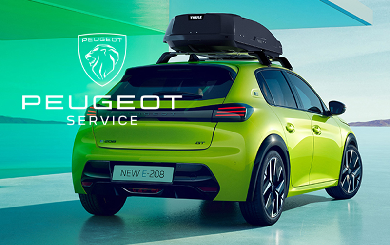 Peugeot Servicing