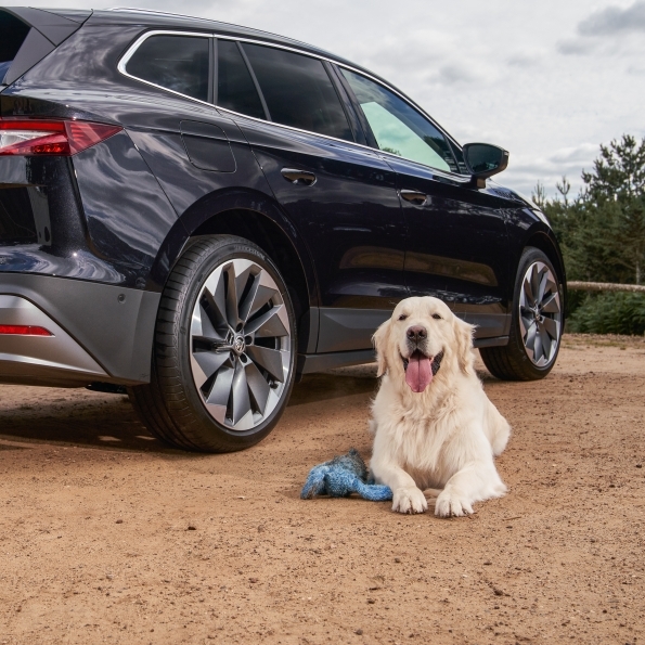 Skoda Driving With Dogs - official partner of Crufts 2023