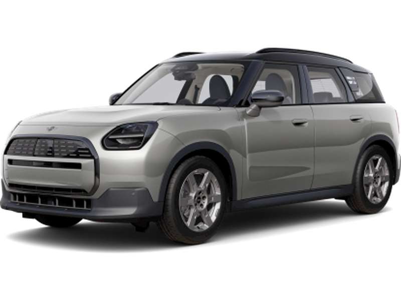 Countryman E Classic