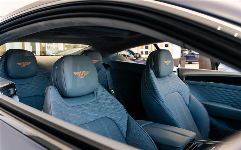 Paint and Upholstery Protection