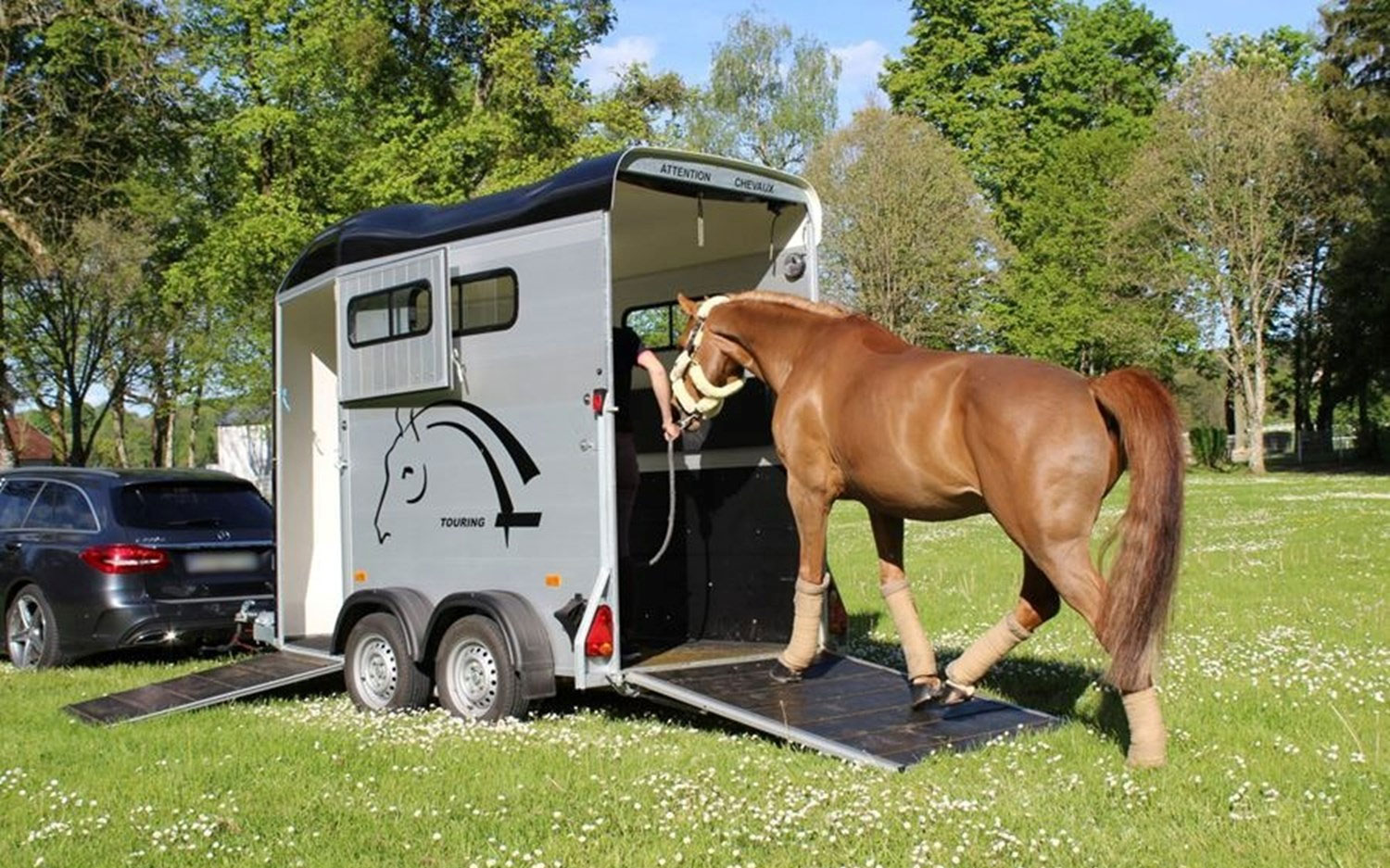 Touring One - Single Horse Trailer