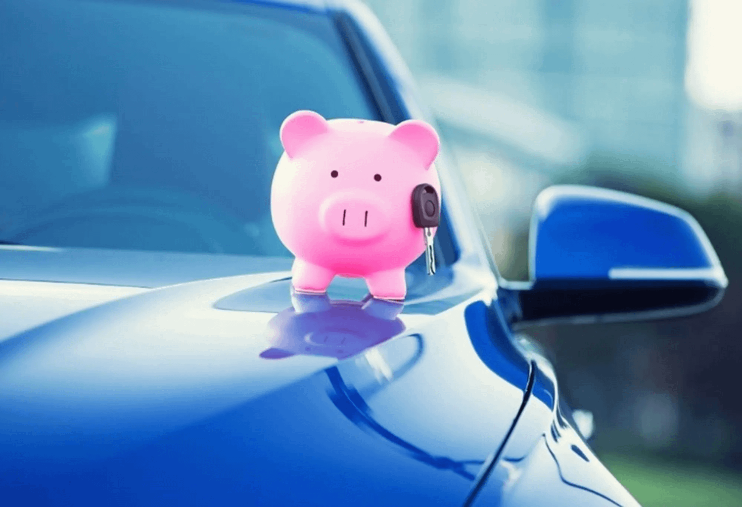 Pink Toy Pig On Car Bonnet
