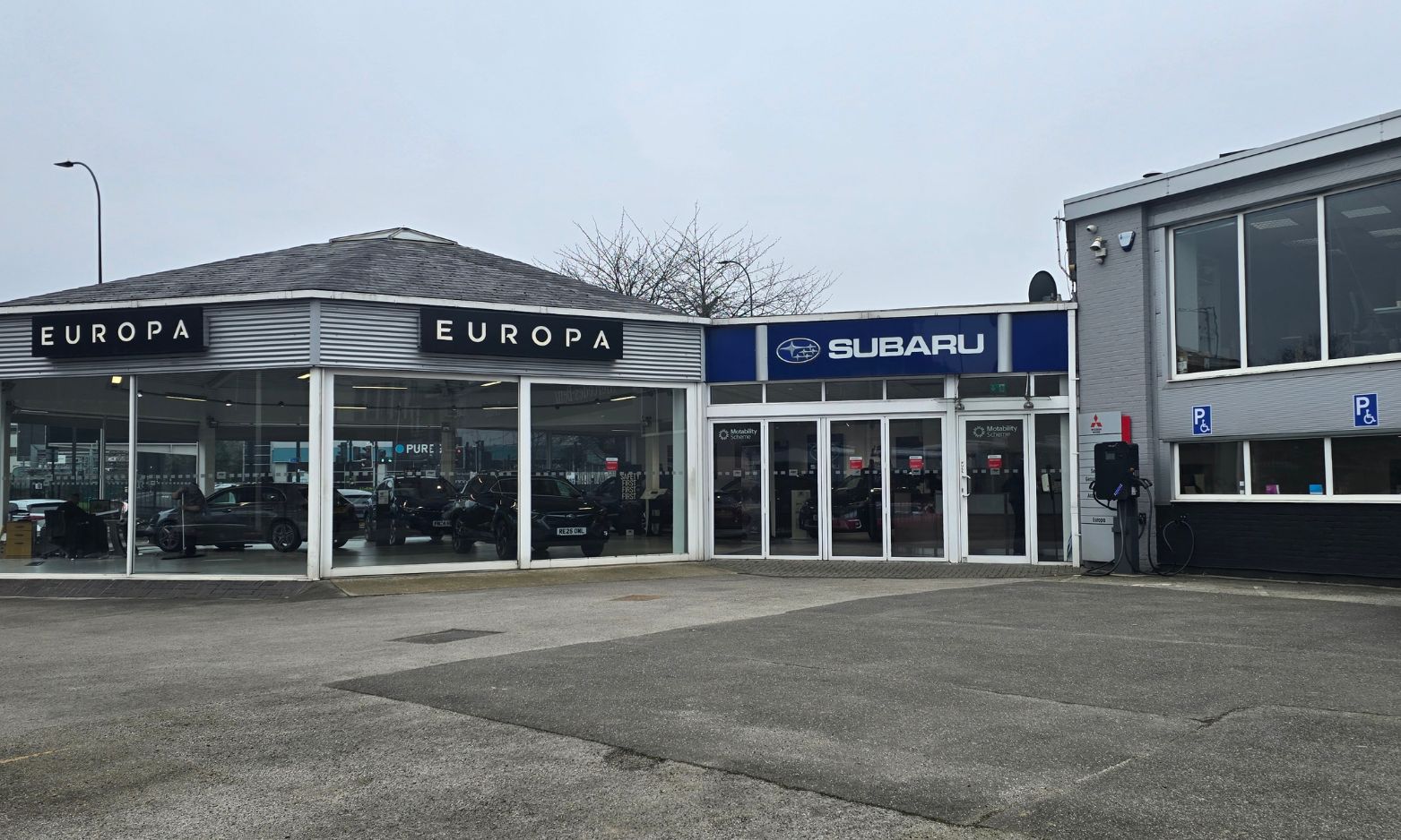 Welcome Europa Sheffield to the D. M. Keith Family