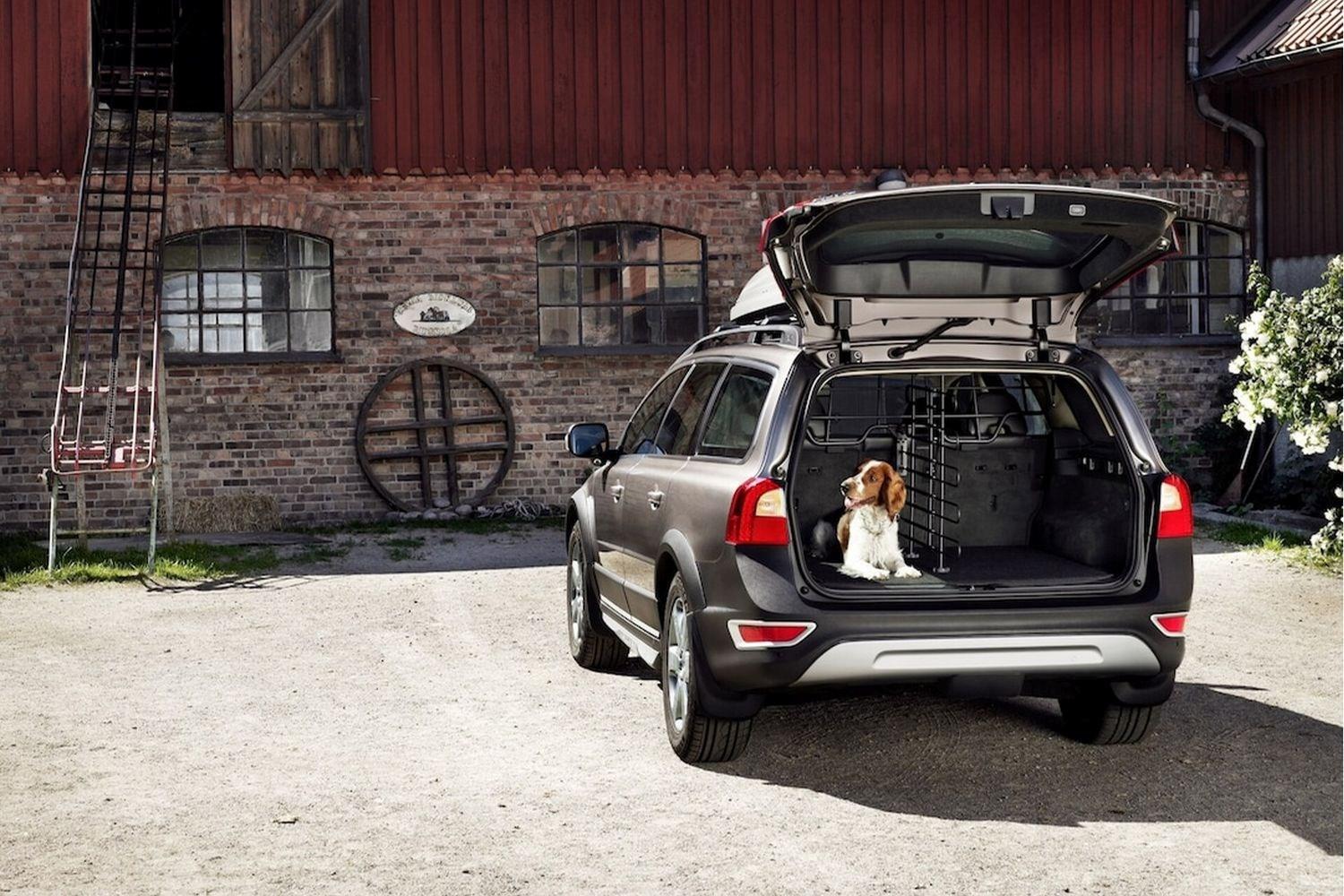 Volvo XC90 Recharged packed at farm with boot open and springer spaniel dog sitting inside
