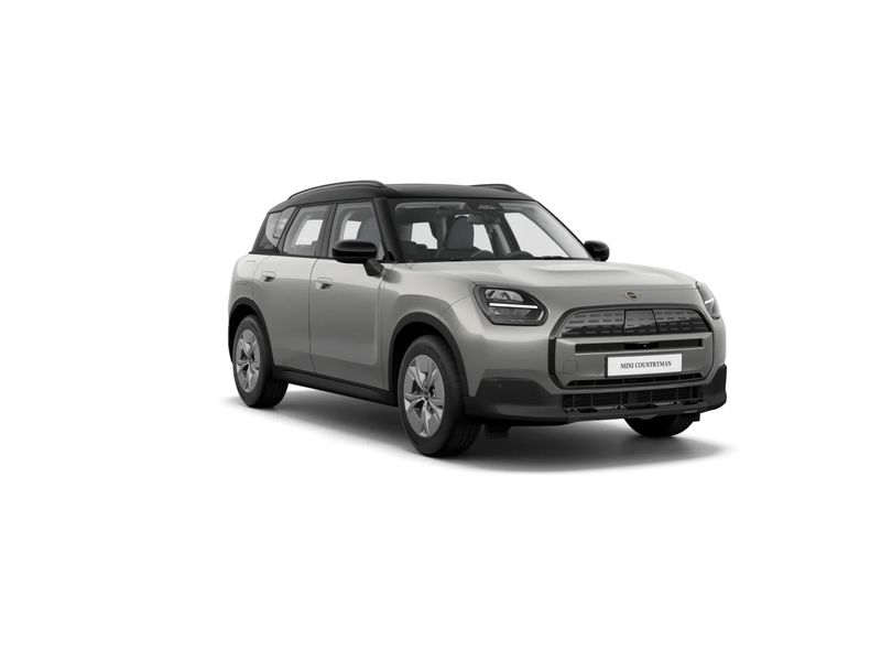 Countryman E Classic