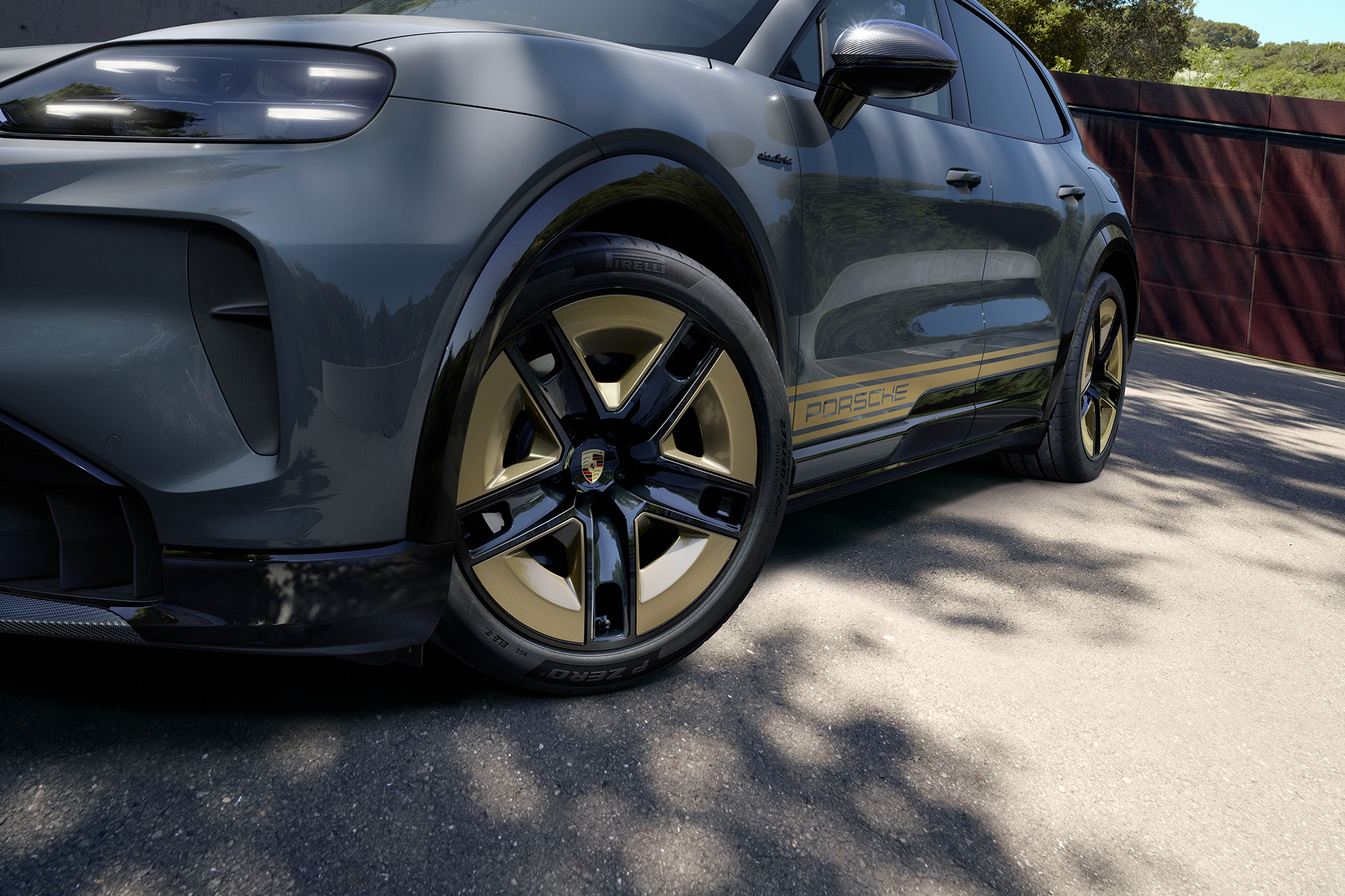 Cayenne EV