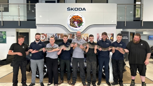 Startin Skoda, Snakes, and Smiles with Axolotl and Reptile Rescue