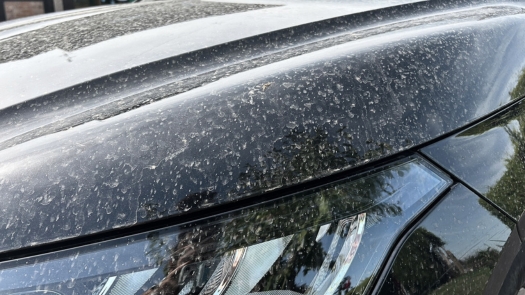 Why did we wake up to find our cars covered in dust today?