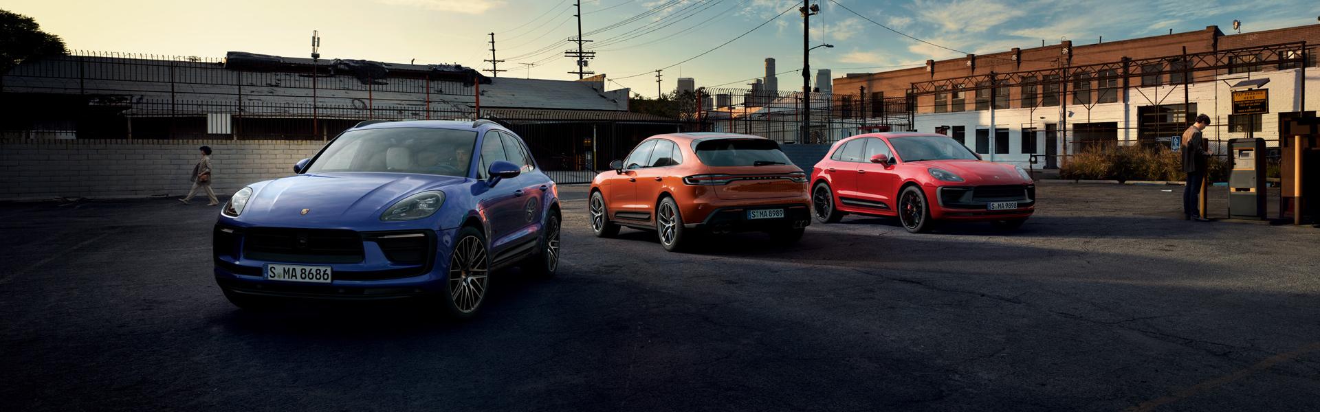 Macan