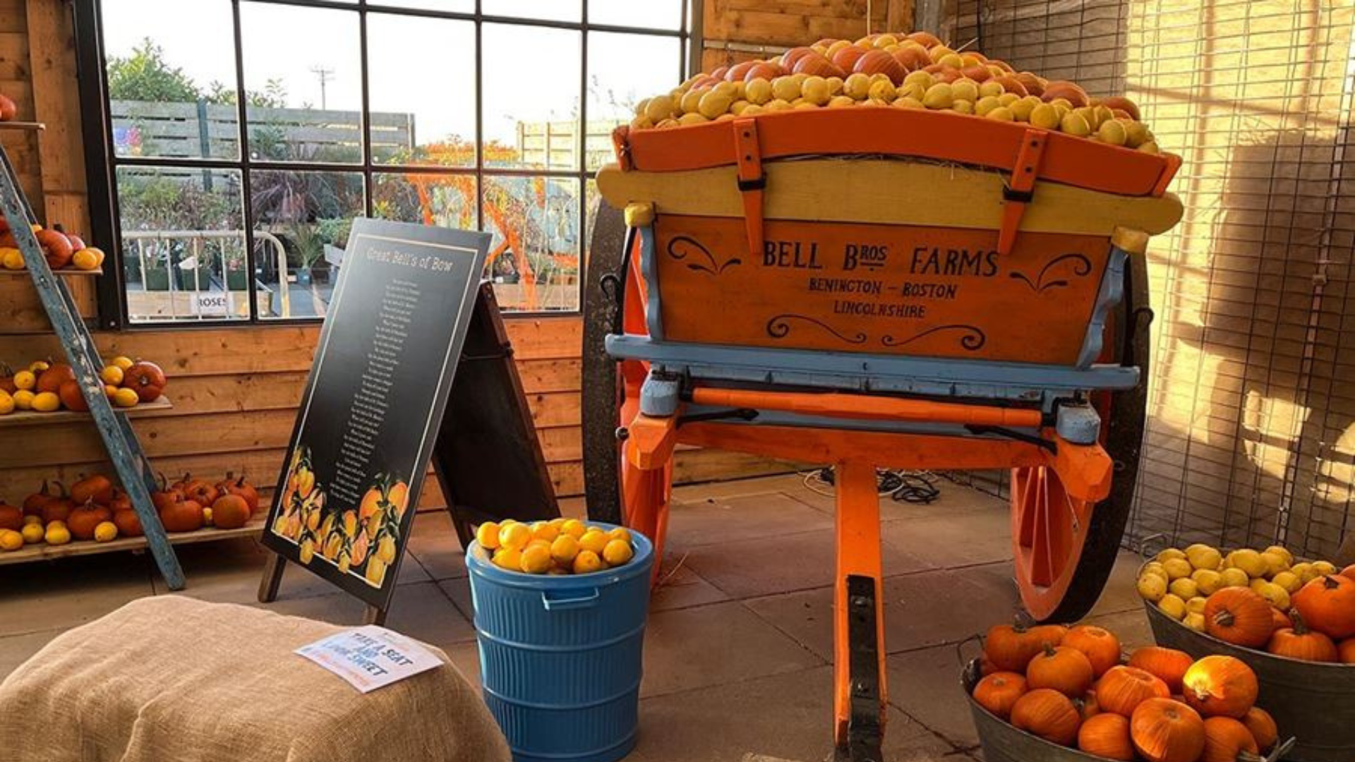 Bell's Pumpkin Patch