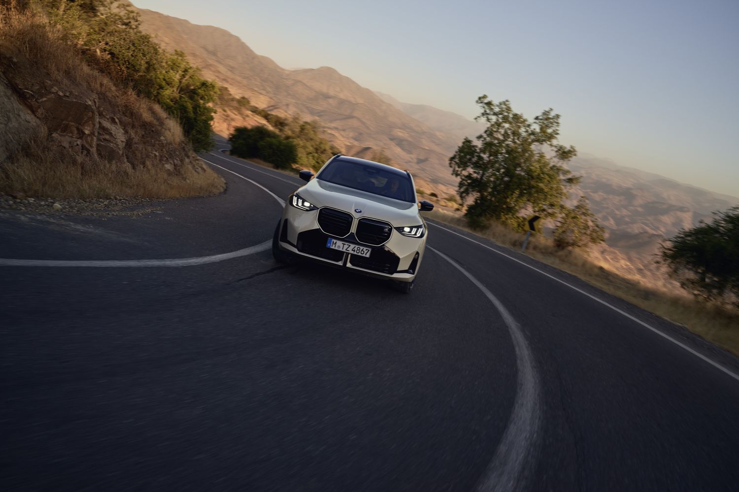 BMW Proactive Care
