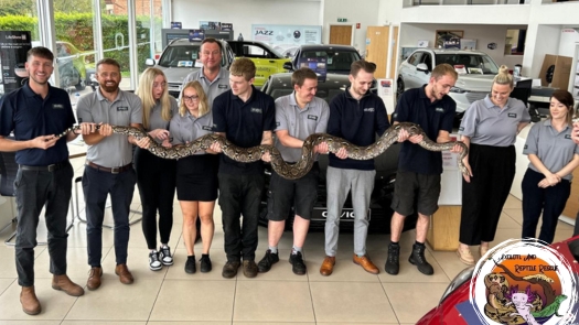 Slithering into Startin Honda: Reptiles and Cars Unite with Axolotl and Reptile Rescue