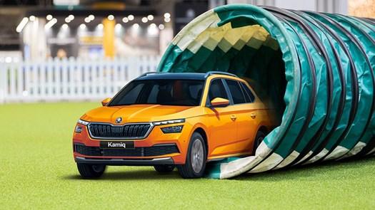 And that's a wrap on Skoda's time at Crufts 2023! 🙌