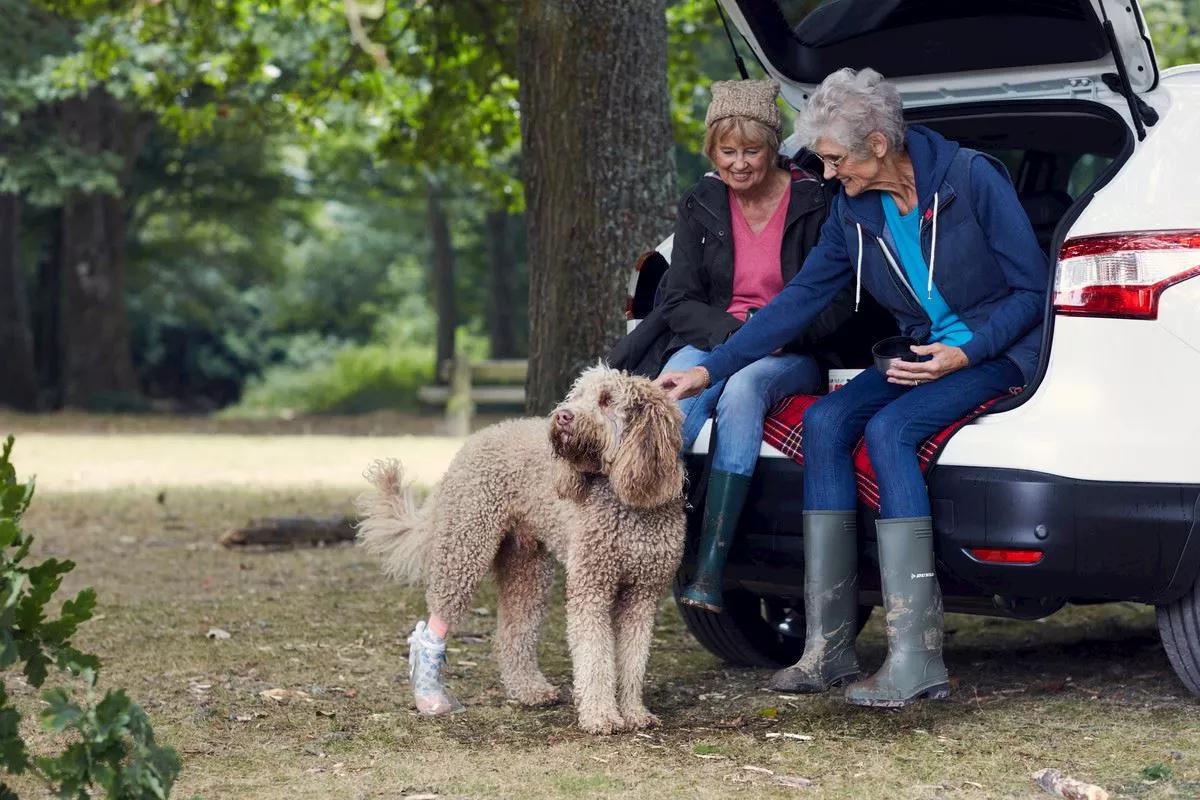 Elderly couple sit in the boot of their car parked in forest while petting dog