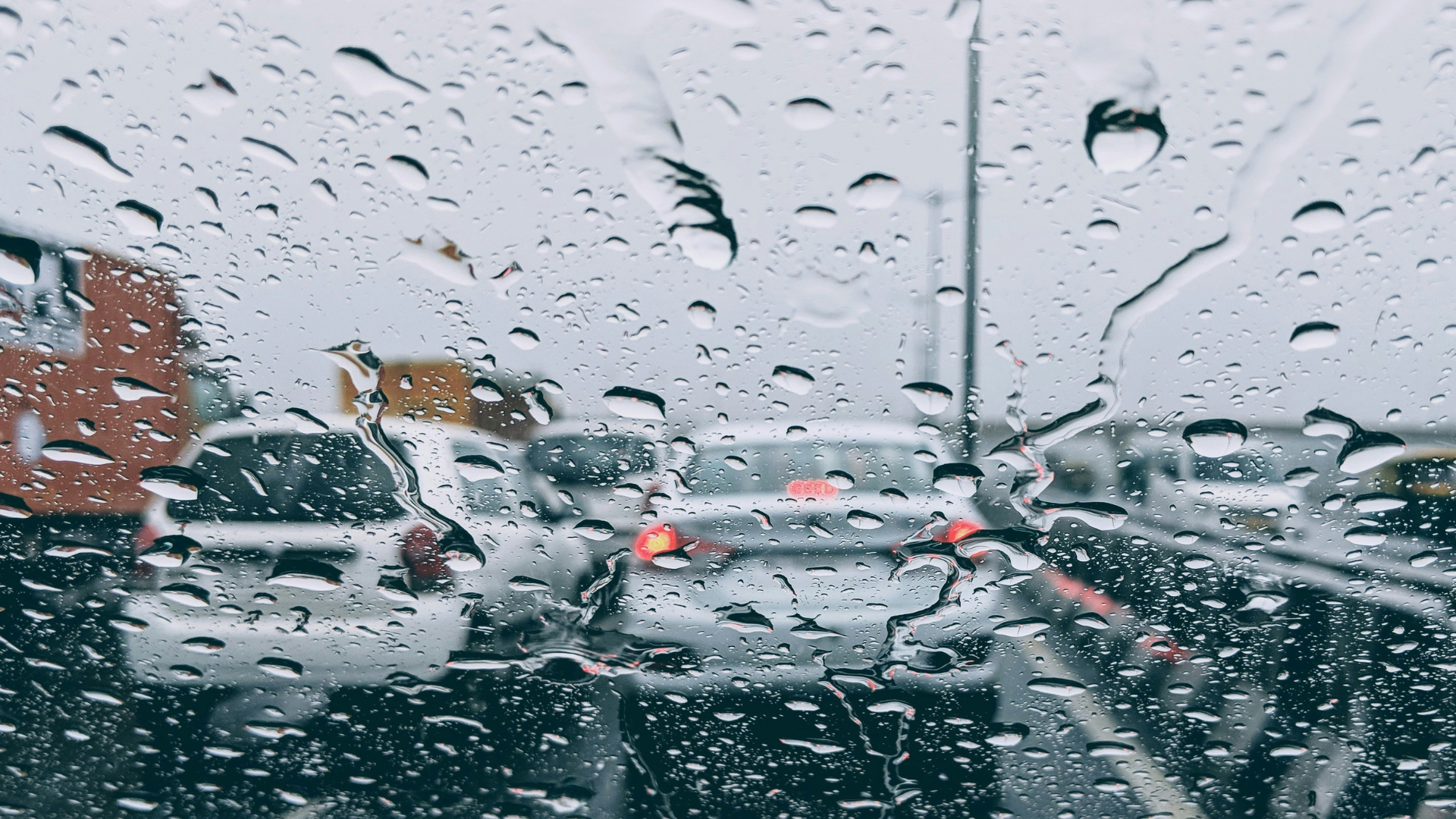 Startin Guide for Driving in Wet Conditions