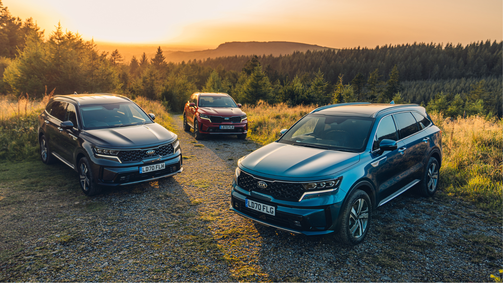 Secondhand Kia models cruise to success at Auto Express Used Car Awards 2024