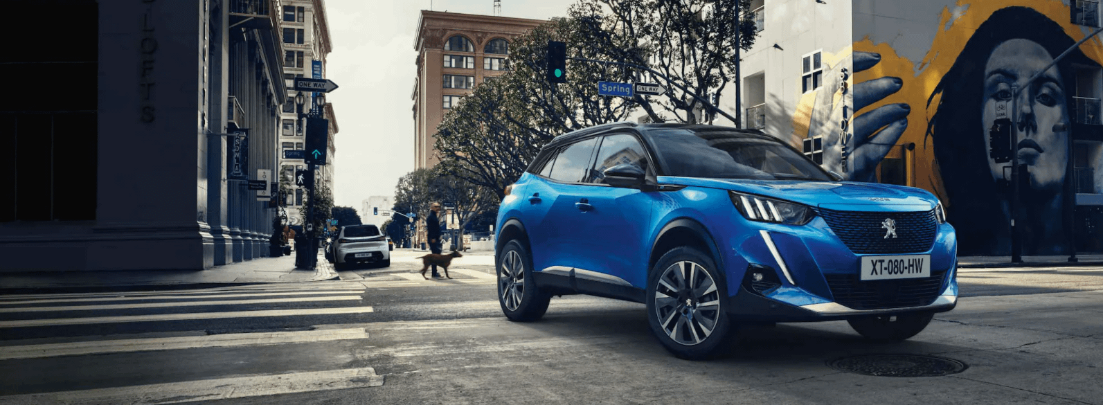 Peugeot 2008 | Price, Boot, Bluetooth, Towing Ability & More