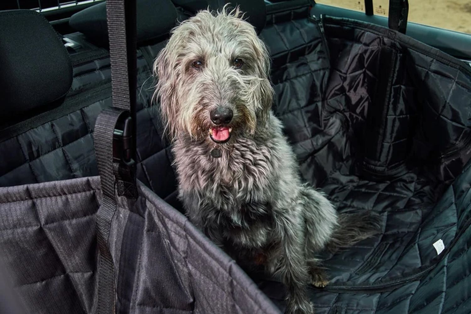 Skoda Accessory Packs, available at Agnew Skoda Belfast and Mallusk. Dog sits in back passenger seat of car with Pet Pack installed.