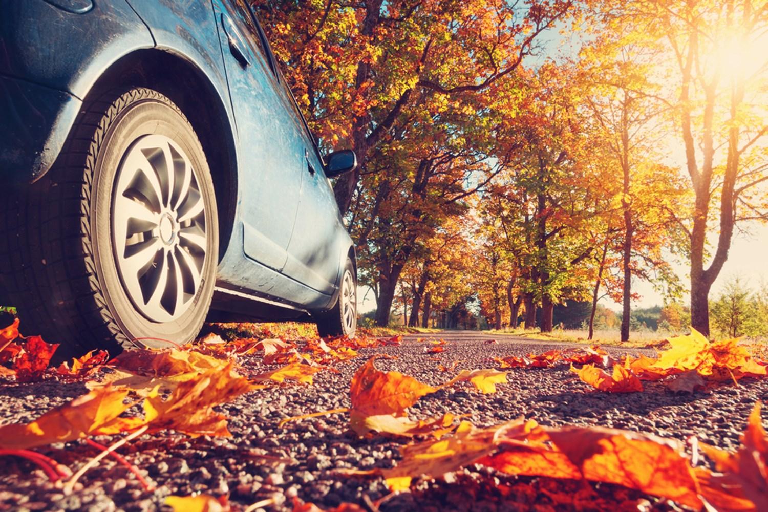 Autumn Car Care