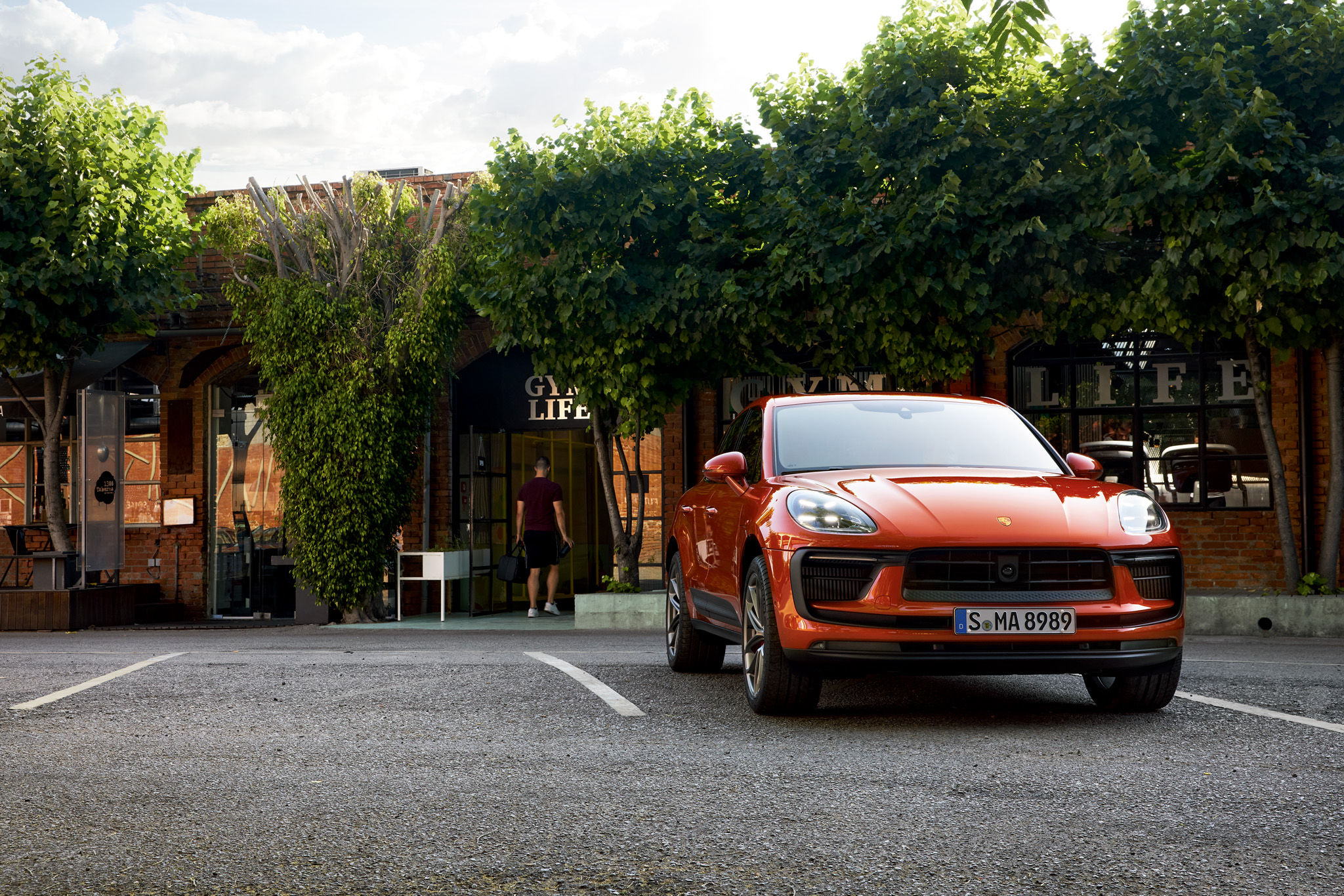 Macan