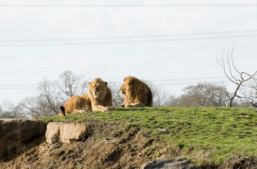 Top Family Days Out in Yorkshire
