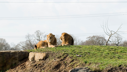 Top Family Days Out in Yorkshire