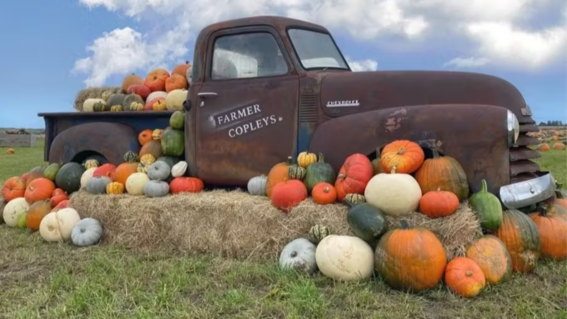 Farmer Copleys