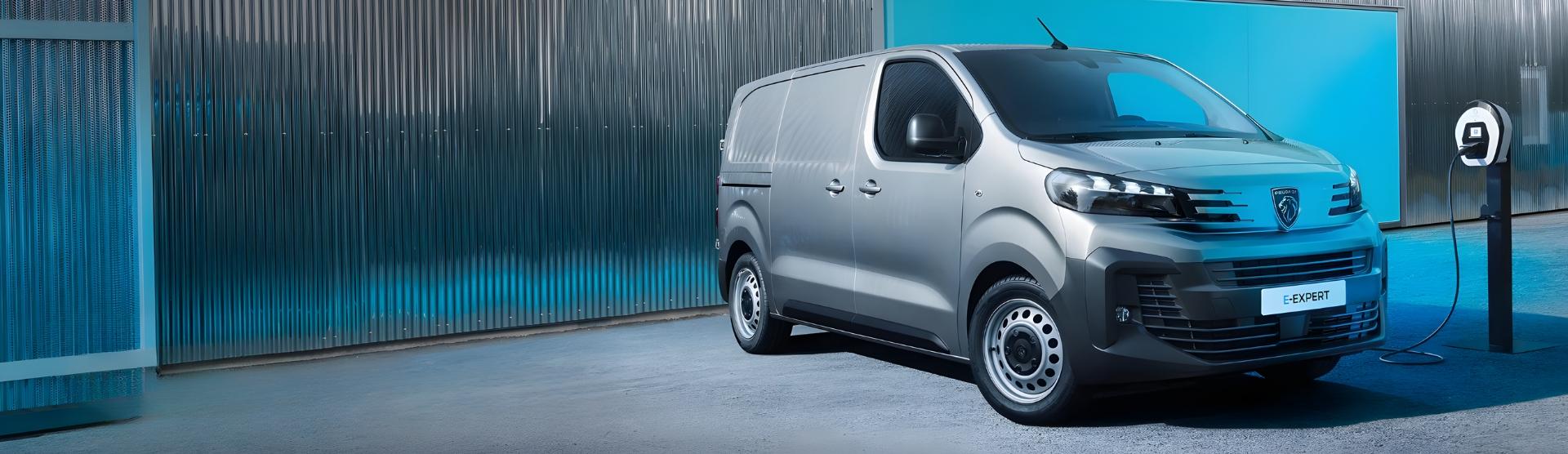 _cogCmsNewVanModel.Title