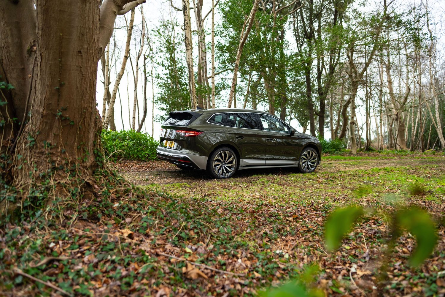 Rear view of the Skoda Enyaq, parked in woodland forest.