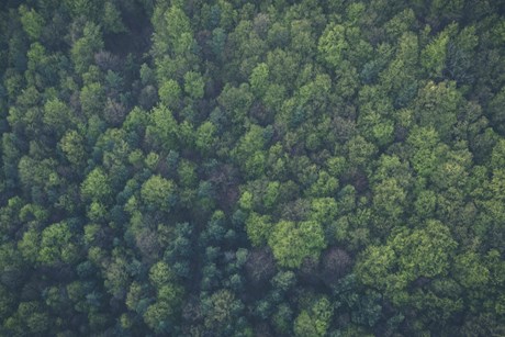 JCT600 VWCV Partners with Ecologi for a Greener Future