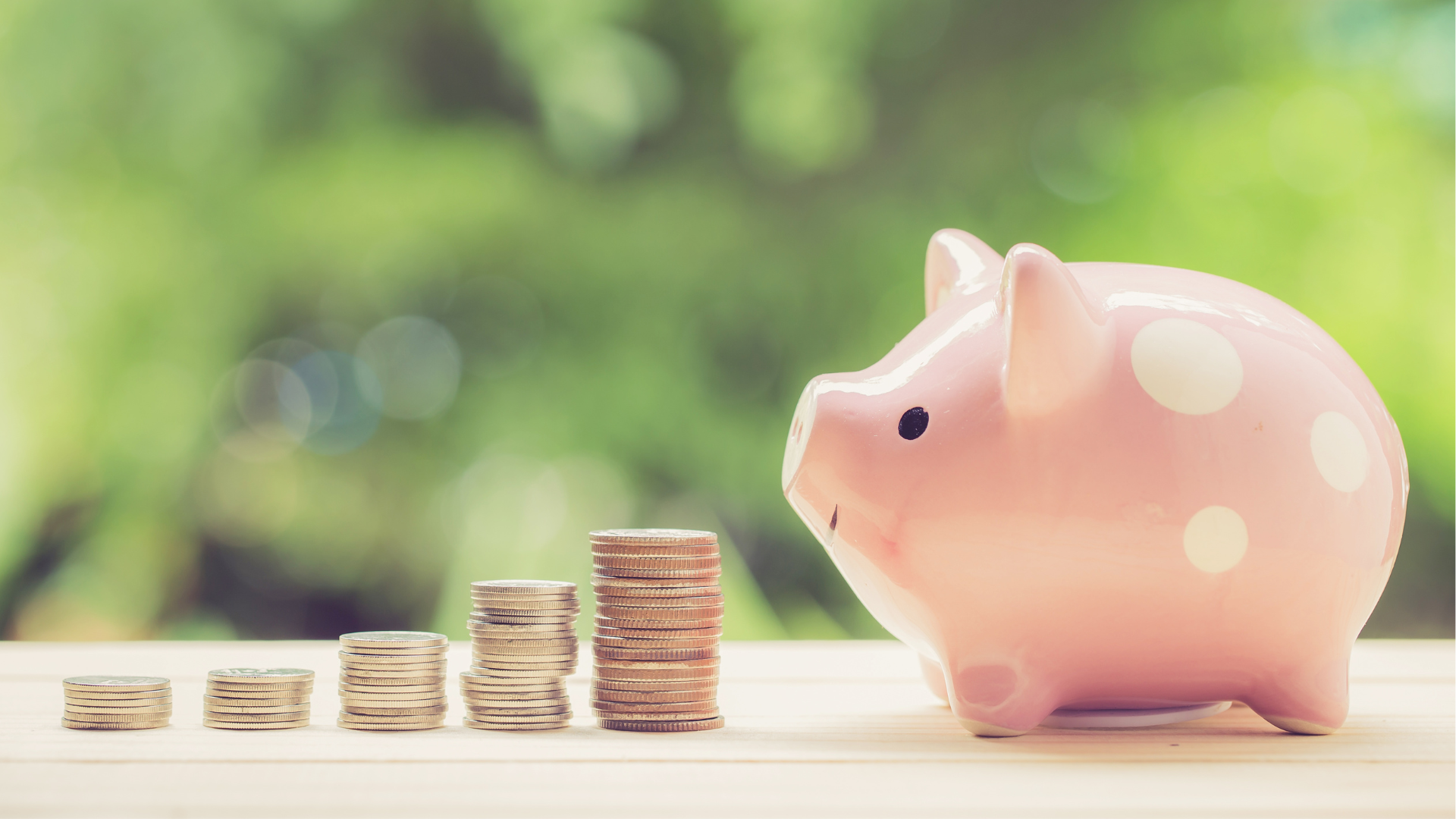 Piggy Bank