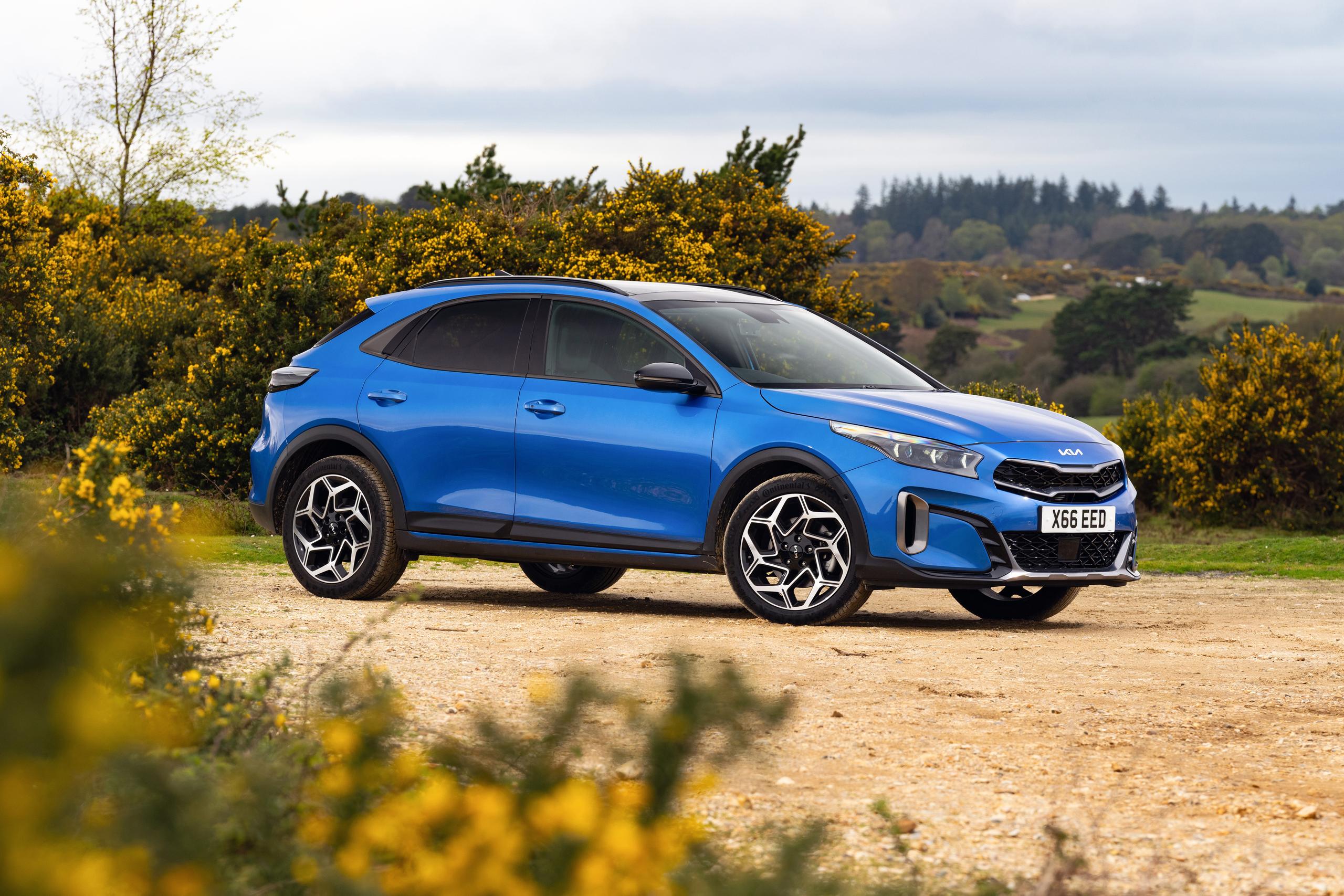 Blue Kia Xceed