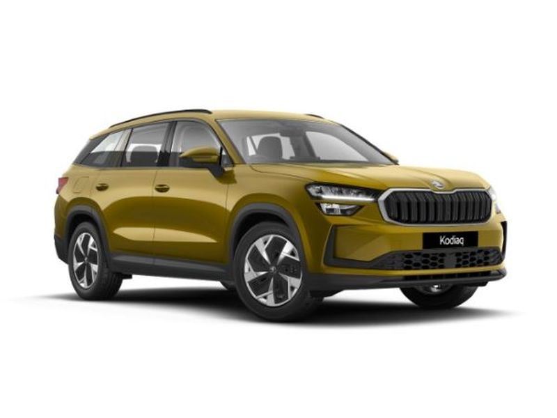 Kodiaq SE 1.5 TSI IV 204 DSG