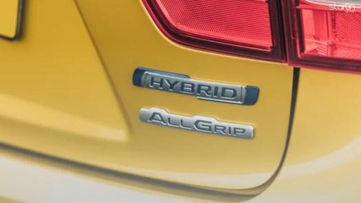 Unveiling the Power of Choice: Exploring Suzuki's Hybrid Systems