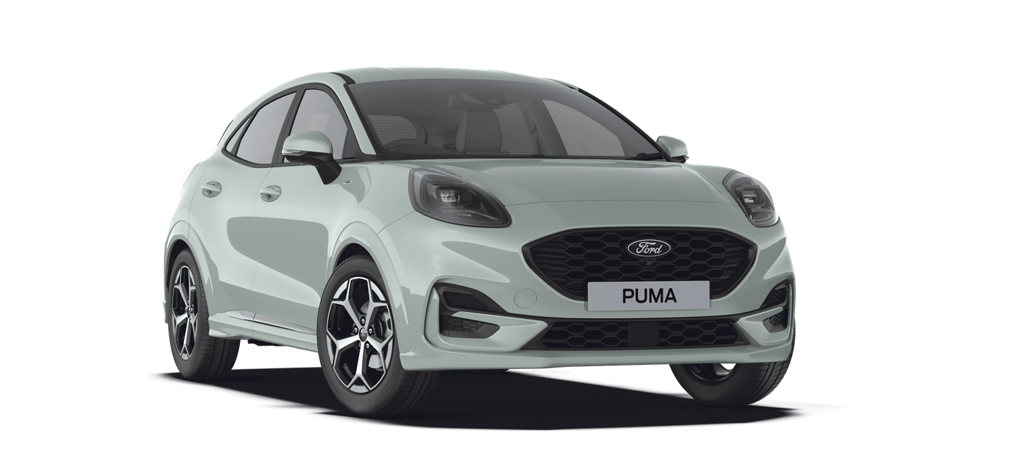 All-New Ford Puma in cactus grey