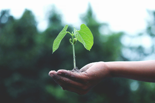 JCT600 Volkswagen partners with Ecologi