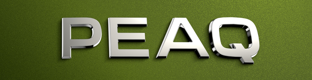 Skoda PEAQ