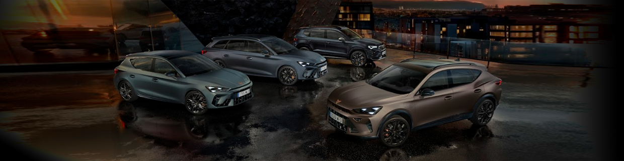 cupra black edition