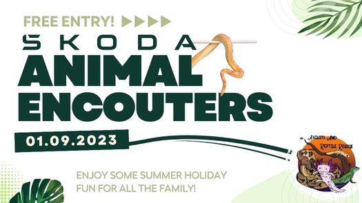 MEET THE REPTILES for a fun family afternoon at Startin Skoda 