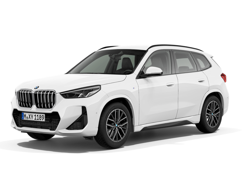 X1 sDrive20i M Sport